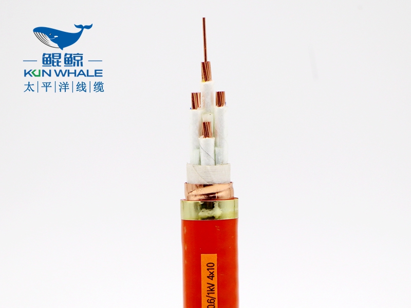 電線(xiàn)電纜廠(chǎng)家淺談什么叫BTTRZ電纜YTTW電纜型號(hào)是什么？